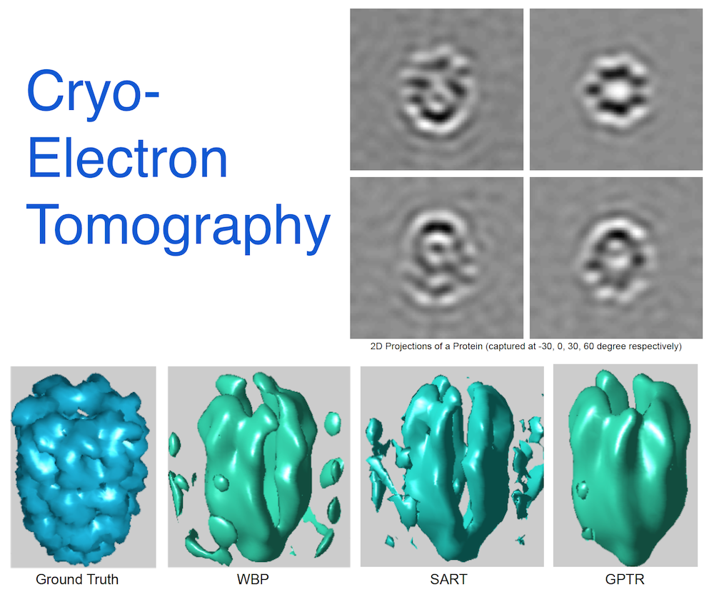 Developing Image Processing Techniques for Cryo Electron Tomography