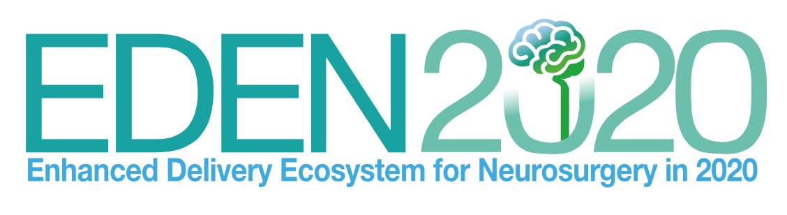 EDEN2020: Enhanced Delivery Ecosystem for Neurosurgery