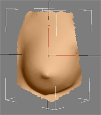 Image of 3D segmented breast